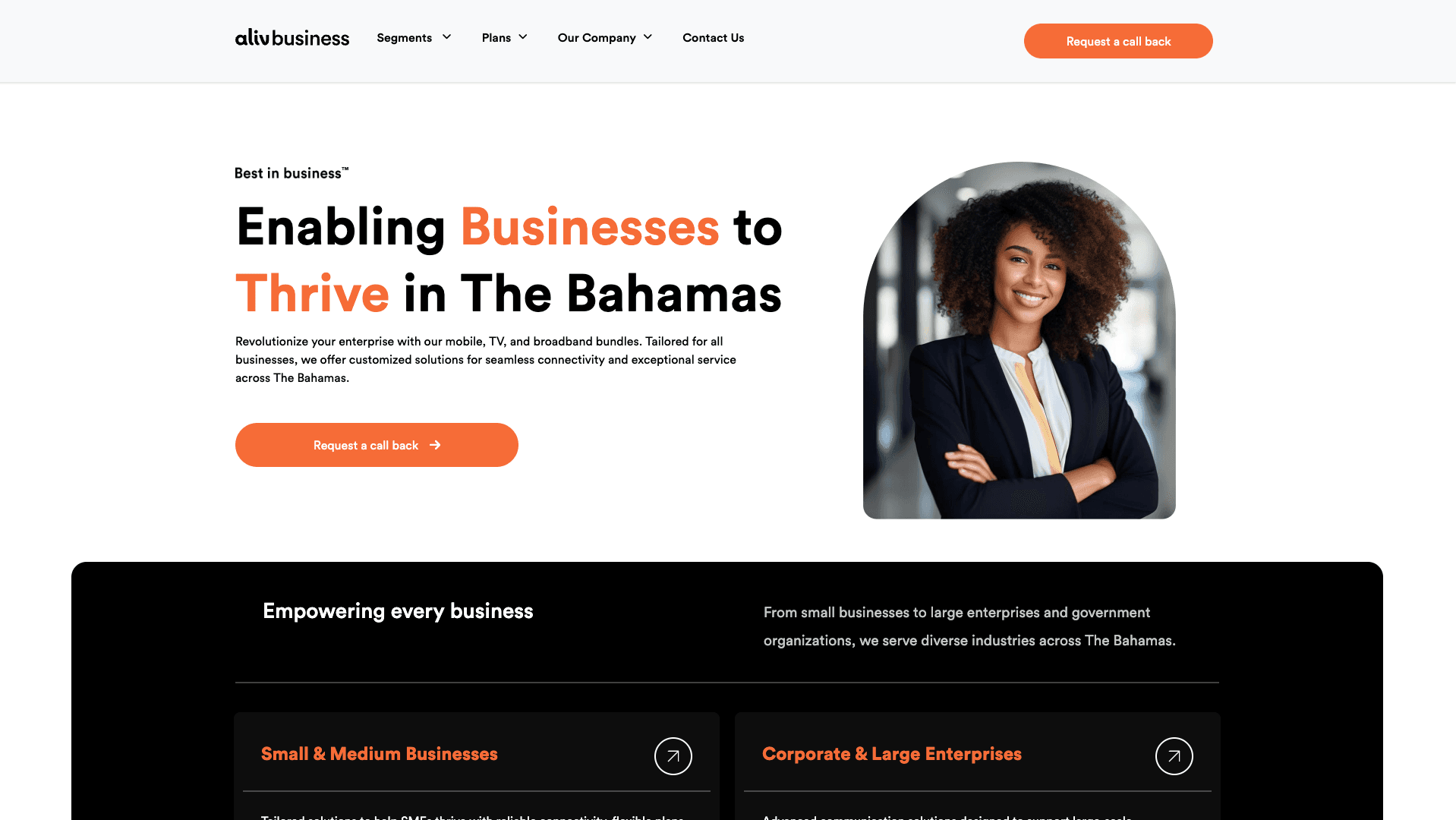 Aliv Business Website